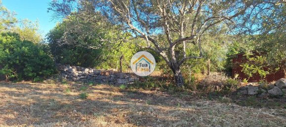 4450m² Land in Loule, Portugal No. 86040 15