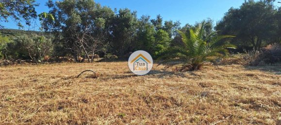 4450m² Land in Loule, Portugal No. 86040 5