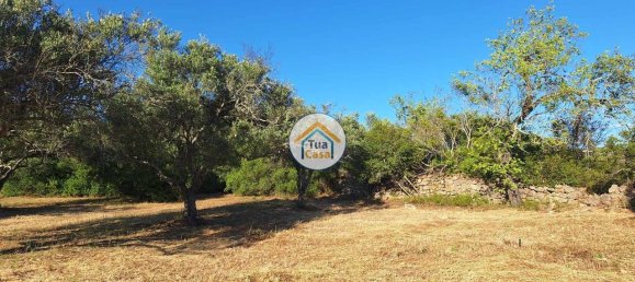4450m² Land in Loule, Portugal No. 86040 11