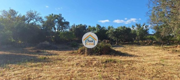 4450m² Land in Loule, Portugal No. 86040 14