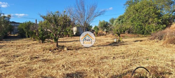 4450m² Land in Loule, Portugal No. 86040 16