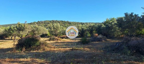 4450m² Land in Loule, Portugal No. 86040 3