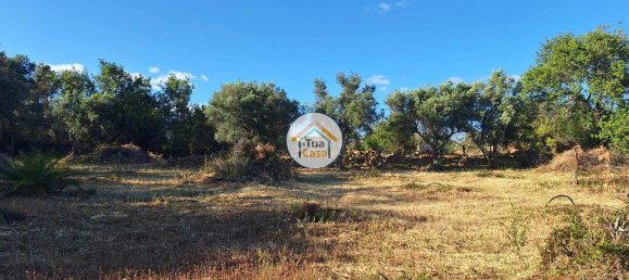 4450m² Land in Loule, Portugal No. 86040 13