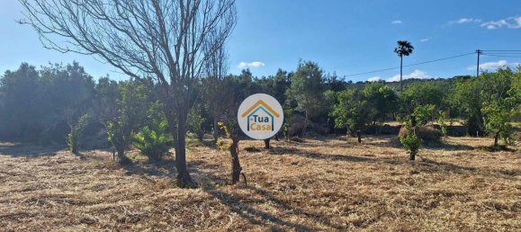 4450m² Land in Loule, Portugal No. 86040 6
