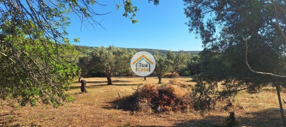 4450m² Land in Loule, Portugal No. 86040 2