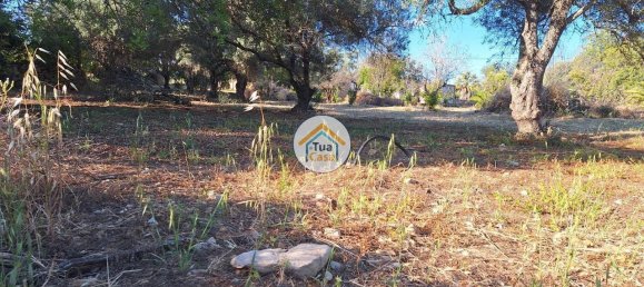 4450m² Land in Loule, Portugal No. 86040 7