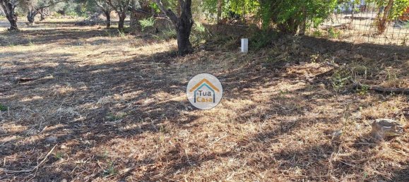 4450m² Land in Loule, Portugal No. 86040 9