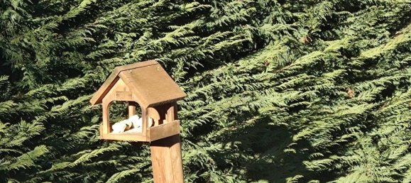 4 rooms Villa in Antey Saint Andre, Italy No. 28796 18