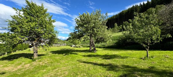 Земельный участок в Юденбург, Австрия № 129467 2