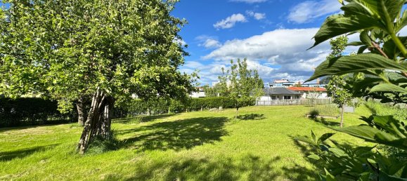 Земельный участок в Юденбург, Австрия № 129467 3