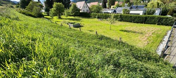 Земельный участок в Юденбург, Австрия № 129467 5