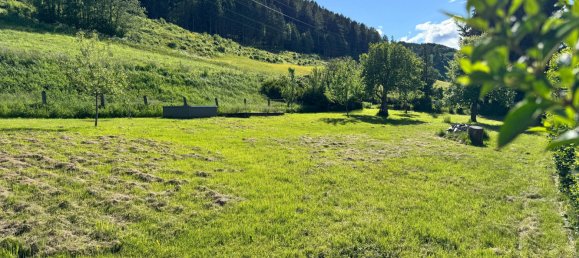 Земельный участок в Юденбург, Австрия № 129467 4