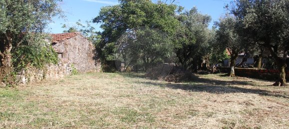 Casa de 2 dormitorios en Ansiao, Portugal No. 24397 3