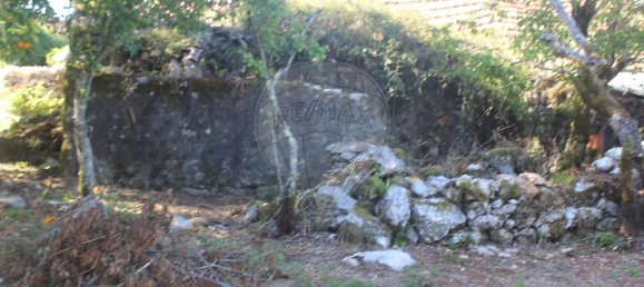 Casa de 2 dormitorios en Ansiao, Portugal No. 24397 13