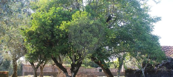 Casa de 2 dormitorios en Ansiao, Portugal No. 24397 6