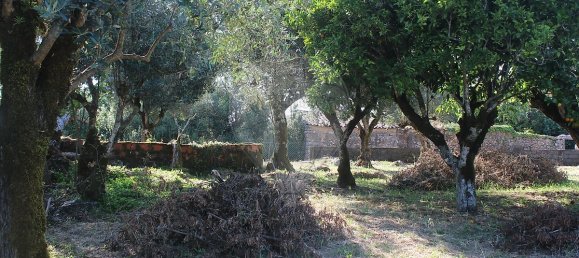 Casa de 2 dormitorios en Ansiao, Portugal No. 24397 11