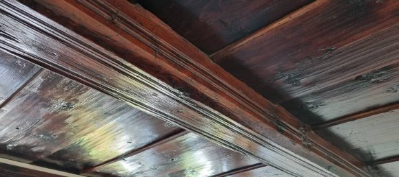 6غرفة منزل في Bautzen, Germany رقم 324446 6