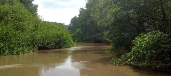 Земельный участок в Гарабито, Коста-Рика № 1584 4