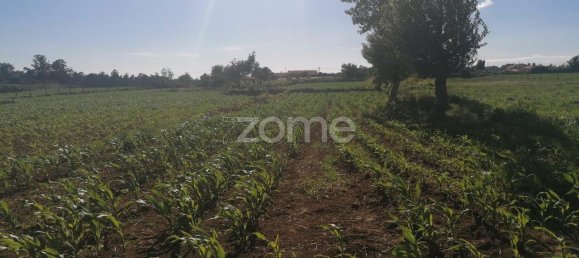 4266m² Land in Vila Nova de Famalicao, Portugal No. 36633 10