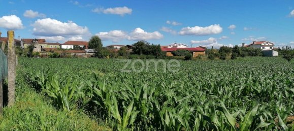 4266m² Land in Vila Nova de Famalicao, Portugal No. 36633 6