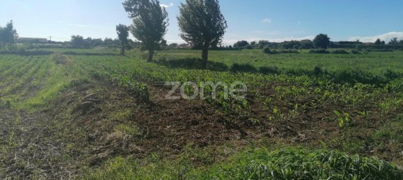 4266m² Land in Vila Nova de Famalicao, Portugal No. 36633 11