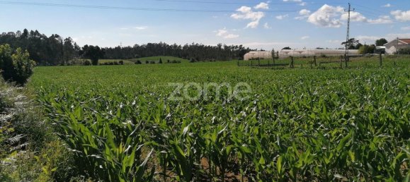 4266m² Land in Vila Nova de Famalicao, Portugal No. 36633 7