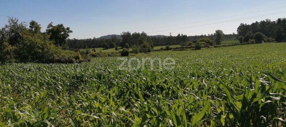 4266m² Land in Vila Nova de Famalicao, Portugal No. 36633 4