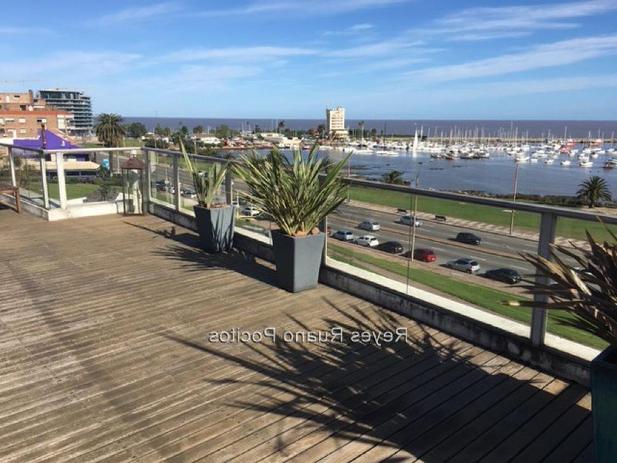 3 غرف نوم شقة في Montevideo, Uruguay رقم 2498