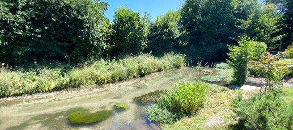 10 rooms House in Bad Wimsbach-Neydharting, Austria No. 145996 33