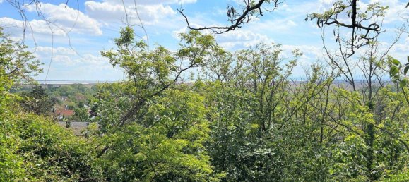 6 rooms House in Neusiedl am See, Austria No. 105522 9