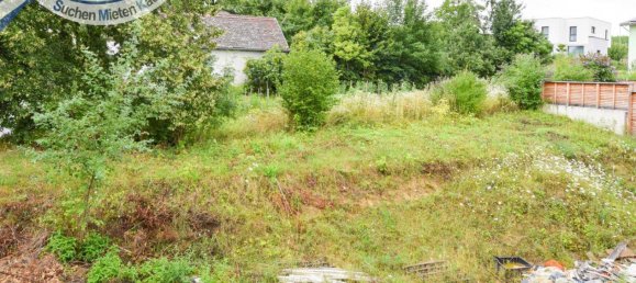 4 Schlafzimmer Haus in Grabern, Austria, Nr. 211308 14