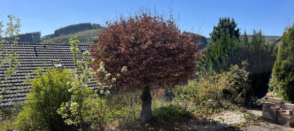 Apartamento de 2 habitaciónes en Hochsauerlandkreis, Germany No. 31826 14