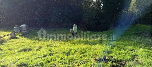 1225m² Land in Livorno, Italy No. 184474 14