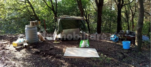 1225m² Land in Livorno, Italy No. 184474 10