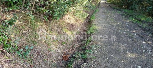 1225m² Land in Livorno, Italy No. 184474 4