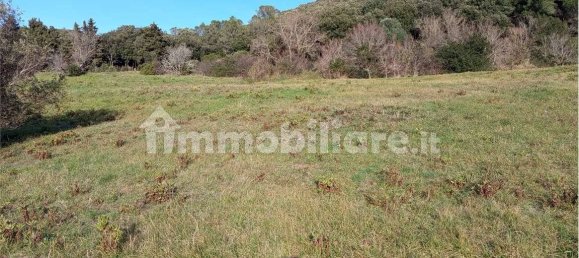 1225m² Land in Livorno, Italy No. 184474 6