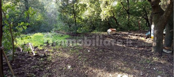 1225m² Land in Livorno, Italy No. 184474 11