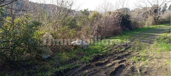 1225m² Land in Livorno, Italy No. 184474 19