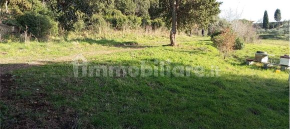 1225m² Land in Livorno, Italy No. 184474 15