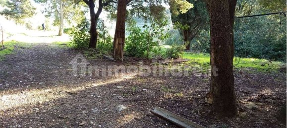 1225m² Land in Livorno, Italy No. 184474 8
