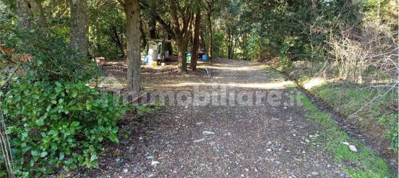 1225m² Land in Livorno, Italy No. 184474 12