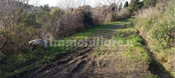 1225m² Land in Livorno, Italy No. 184474 18