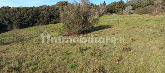 1225m² Land in Livorno, Italy No. 184474 2