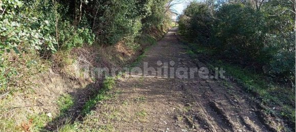 1225m² Land in Livorno, Italy No. 184474 20
