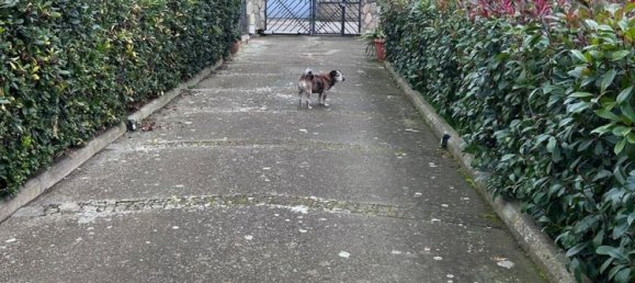 10 rooms Villa in Tuscania, Italy No. 12300 42