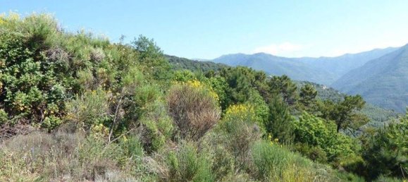518m² Land in Badalucco, Italy No. 90382 20