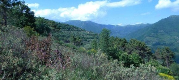 518m² Land in Badalucco, Italy No. 90382 7