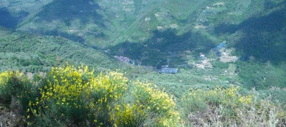 518m² Land in Badalucco, Italy No. 90382 6