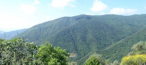 518m² Land in Badalucco, Italy No. 90382 15