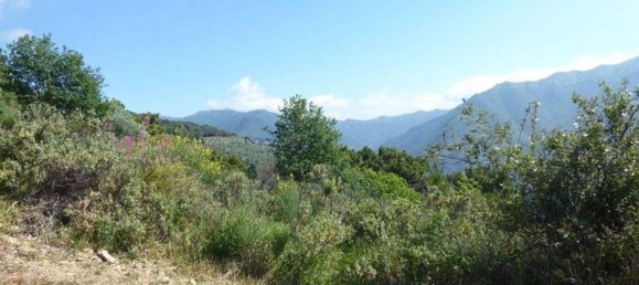 518m² Land in Badalucco, Italy No. 90382 29